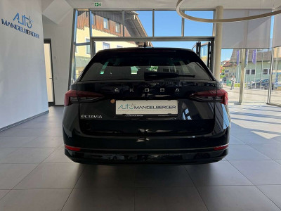 Skoda Octavia Gebrauchtwagen Skoda Octavia Gebrauchtwagen