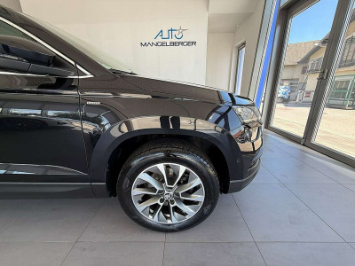 Skoda Karoq Gebrauchtwagen