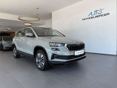 Skoda Karoq Gebrauchtwagen