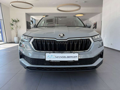 Skoda Karoq Gebrauchtwagen