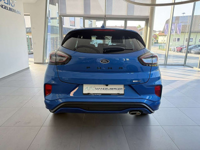 Ford Puma Gebrauchtwagen Ford Puma Gebrauchtwagen