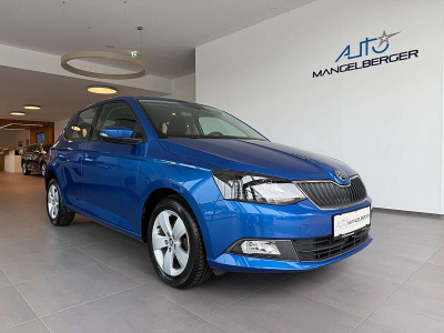 Skoda Fabia Gebrauchtwagen