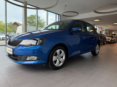 Skoda Fabia Gebrauchtwagen