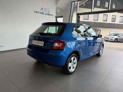 Skoda Fabia Gebrauchtwagen