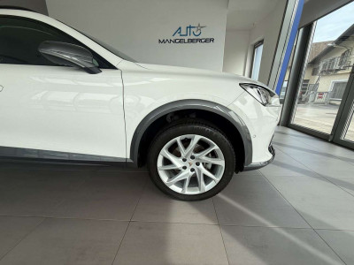 Cupra Formentor Gebrauchtwagen Cupra Formentor Gebrauchtwagen