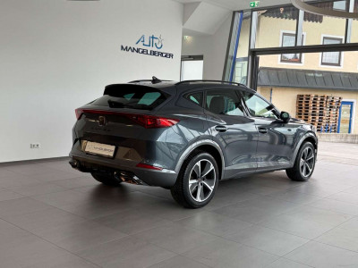 Cupra Formentor Gebrauchtwagen Cupra Formentor Gebrauchtwagen