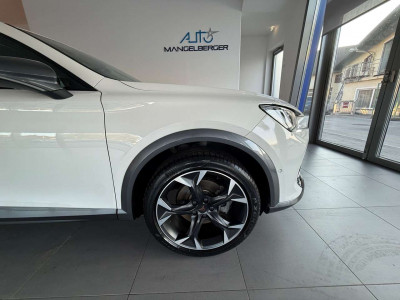 Cupra Formentor Gebrauchtwagen Cupra Formentor Gebrauchtwagen
