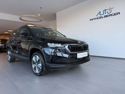 Skoda Karoq Gebrauchtwagen Skoda Karoq Gebrauchtwagen