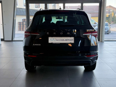 Skoda Karoq Gebrauchtwagen Skoda Karoq Gebrauchtwagen