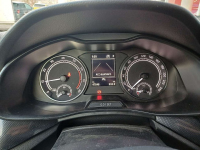Skoda Kamiq Gebrauchtwagen