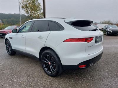 Jaguar F-Pace Gebrauchtwagen