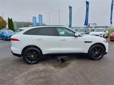 Jaguar F-Pace Gebrauchtwagen