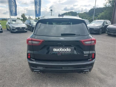 Ford Kuga Gebrauchtwagen Ford Kuga Gebrauchtwagen
