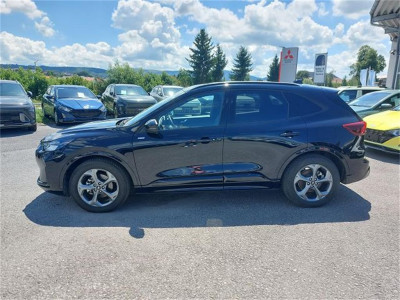 Ford Kuga Gebrauchtwagen Ford Kuga Gebrauchtwagen