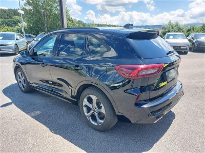 Ford Kuga Gebrauchtwagen Ford Kuga Gebrauchtwagen