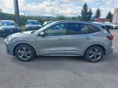 Ford Kuga Gebrauchtwagen Ford Kuga Gebrauchtwagen