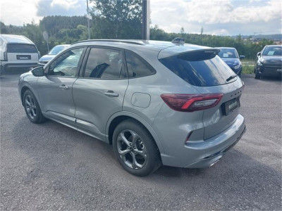Ford Kuga Gebrauchtwagen Ford Kuga Gebrauchtwagen