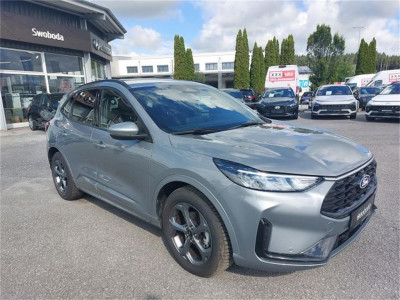 Ford Kuga Gebrauchtwagen Ford Kuga Gebrauchtwagen