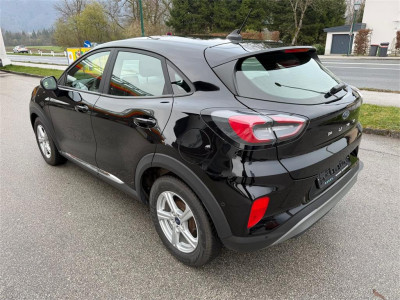 Ford Puma Gebrauchtwagen Ford Puma Gebrauchtwagen