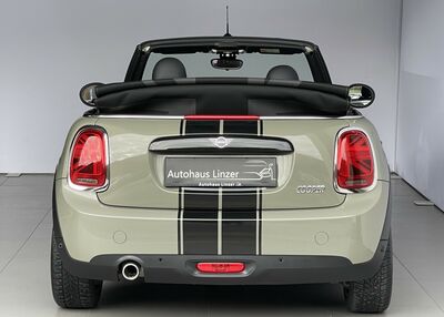 Mini Cabrio Gebrauchtwagen