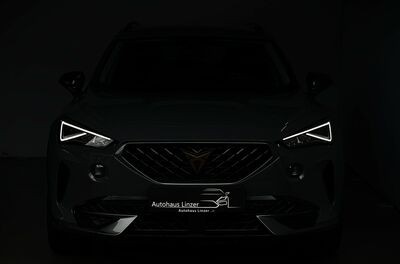 Cupra Formentor Gebrauchtwagen