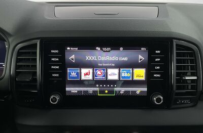 Skoda Karoq Gebrauchtwagen