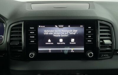 Skoda Karoq Gebrauchtwagen