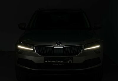 Skoda Karoq Gebrauchtwagen