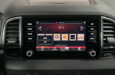 Skoda Karoq Gebrauchtwagen