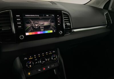 Skoda Karoq Gebrauchtwagen