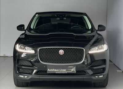 Jaguar F-Pace Gebrauchtwagen Jaguar F-Pace Gebrauchtwagen