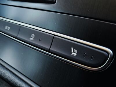 Renault Scénic Gebrauchtwagen