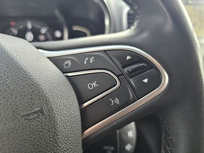 Renault Scénic Gebrauchtwagen