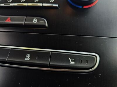 Renault Scénic Gebrauchtwagen