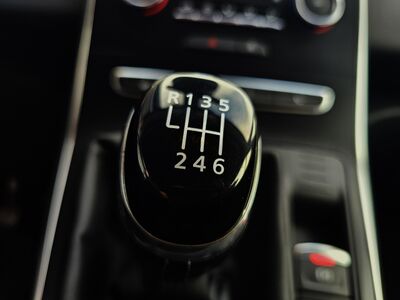 Renault Scénic Gebrauchtwagen