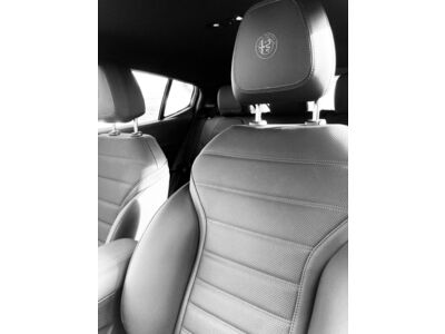 Alfa Romeo Tonale Vorführwagen