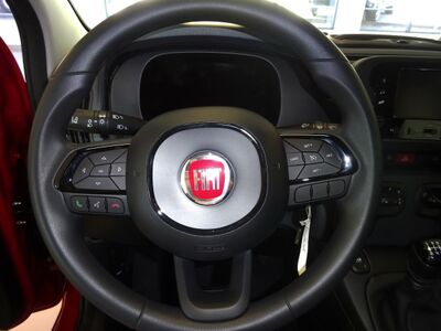 Fiat Panda Vorführwagen