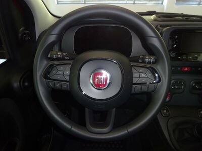 Fiat Panda Vorführwagen