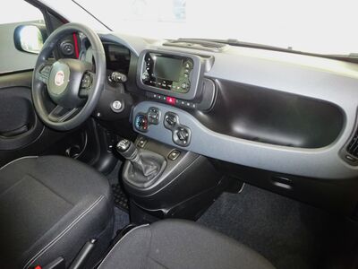 Fiat Panda Vorführwagen