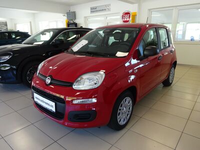 Fiat Panda Vorführwagen