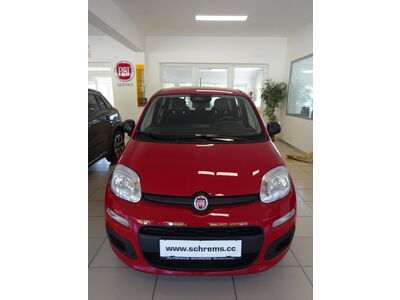 Fiat Panda Vorführwagen