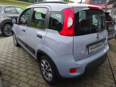 Fiat Panda Gebrauchtwagen