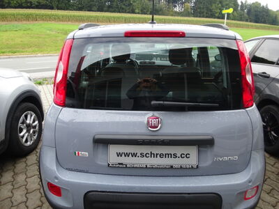 Fiat Panda Gebrauchtwagen