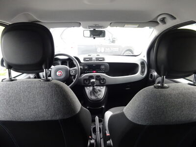 Fiat Panda Gebrauchtwagen