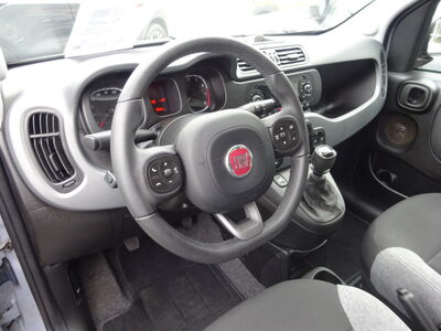 Fiat Panda Gebrauchtwagen
