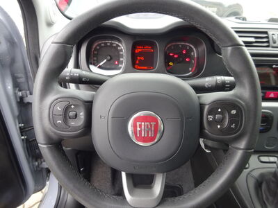 Fiat Panda Gebrauchtwagen