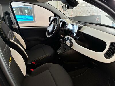 Fiat Panda Vorführwagen