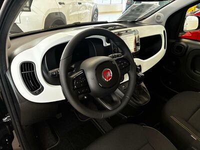 Fiat Panda Vorführwagen