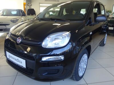 Fiat Panda Neuwagen