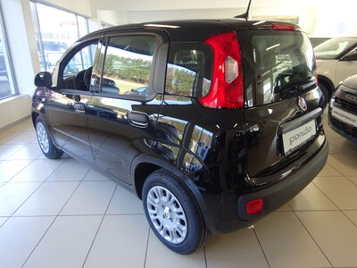 Fiat Panda Neuwagen